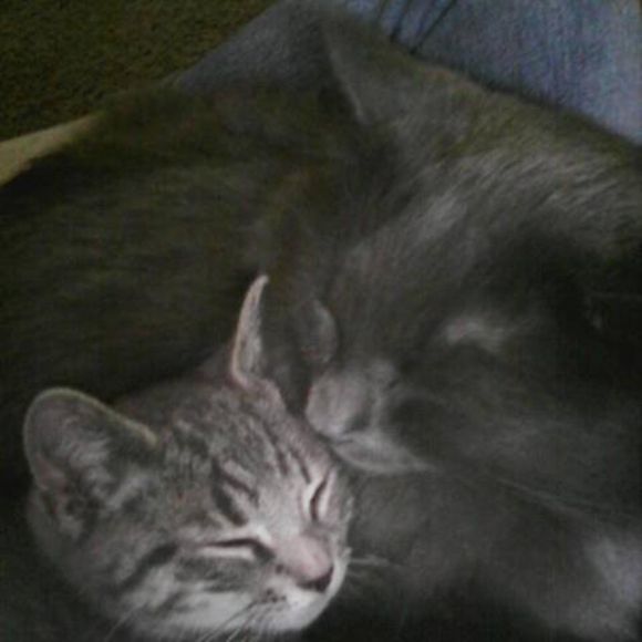 Meet your Posher, Sarah - Picture 1 of 1